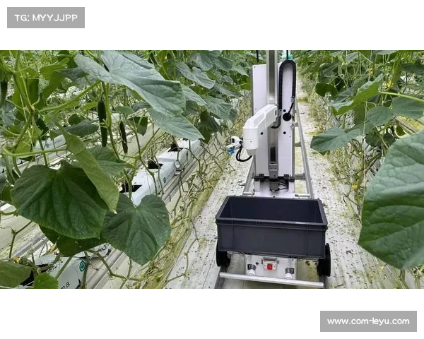 射阳赛场边AI战术建议机器人实测引发教练组态度分化解析 射阳赛场边AI战术建议机器人实测引发教练组态度分化解析